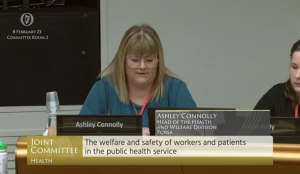 Ashley Connolly addressing the Oireachtas health committee, on the failure to include health staff in assault scheme