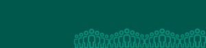 community and voluntary sector ballot