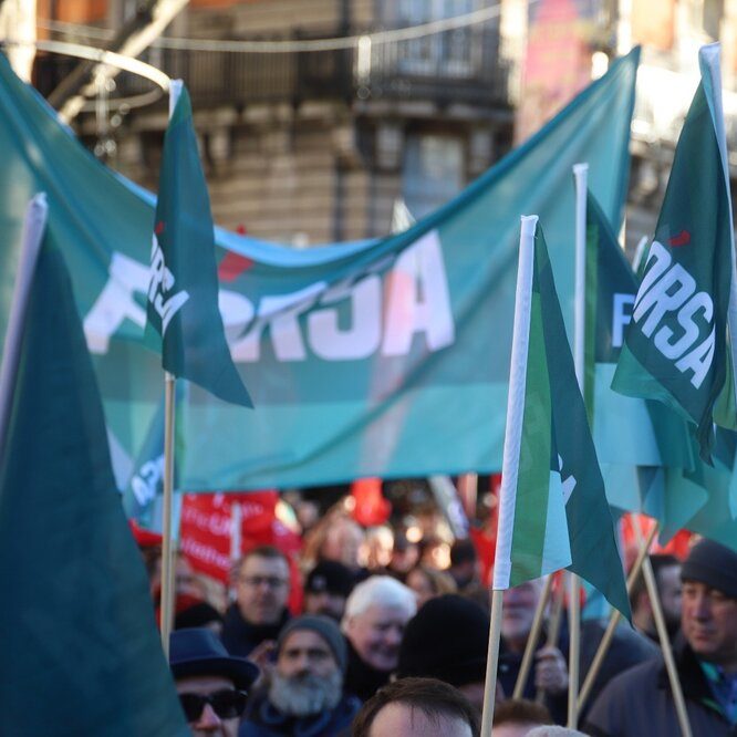 Fórsa banner and flags raised high on march in Dulbin